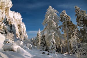 заработок вебмастеру